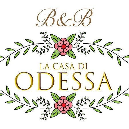 Bed and Breakfast La Casa Di Odessa Arcevia Exteriér fotografie